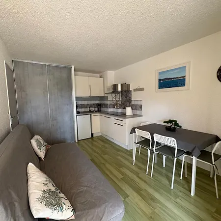 Apartment Preco 459 Maxime 4 Couchages Piscine Et Parking *