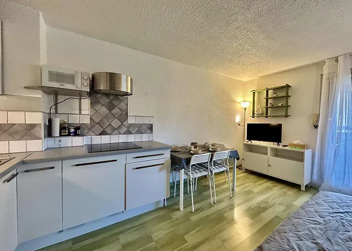 Preco 459 Maxime 4 Couchages Piscine Et Parking *