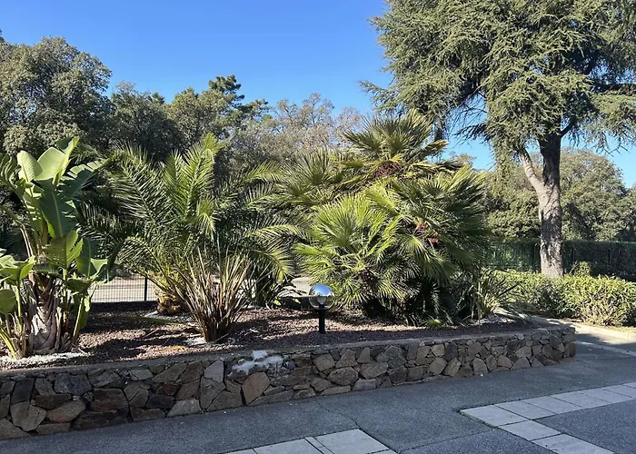 Preco 459 Maxime 4 Couchages Piscine Et Parking Сент-Максим