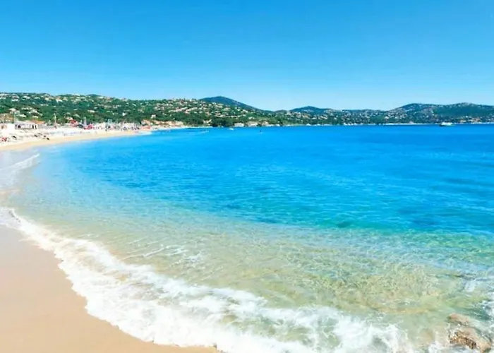 Preco 459 Maxime 4 Couchages Piscine Et Parking Appartamento *