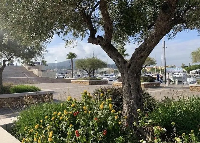 Preco 459 Maxime 4 Couchages Piscine Et Parking Апартаменты Сент-Максим